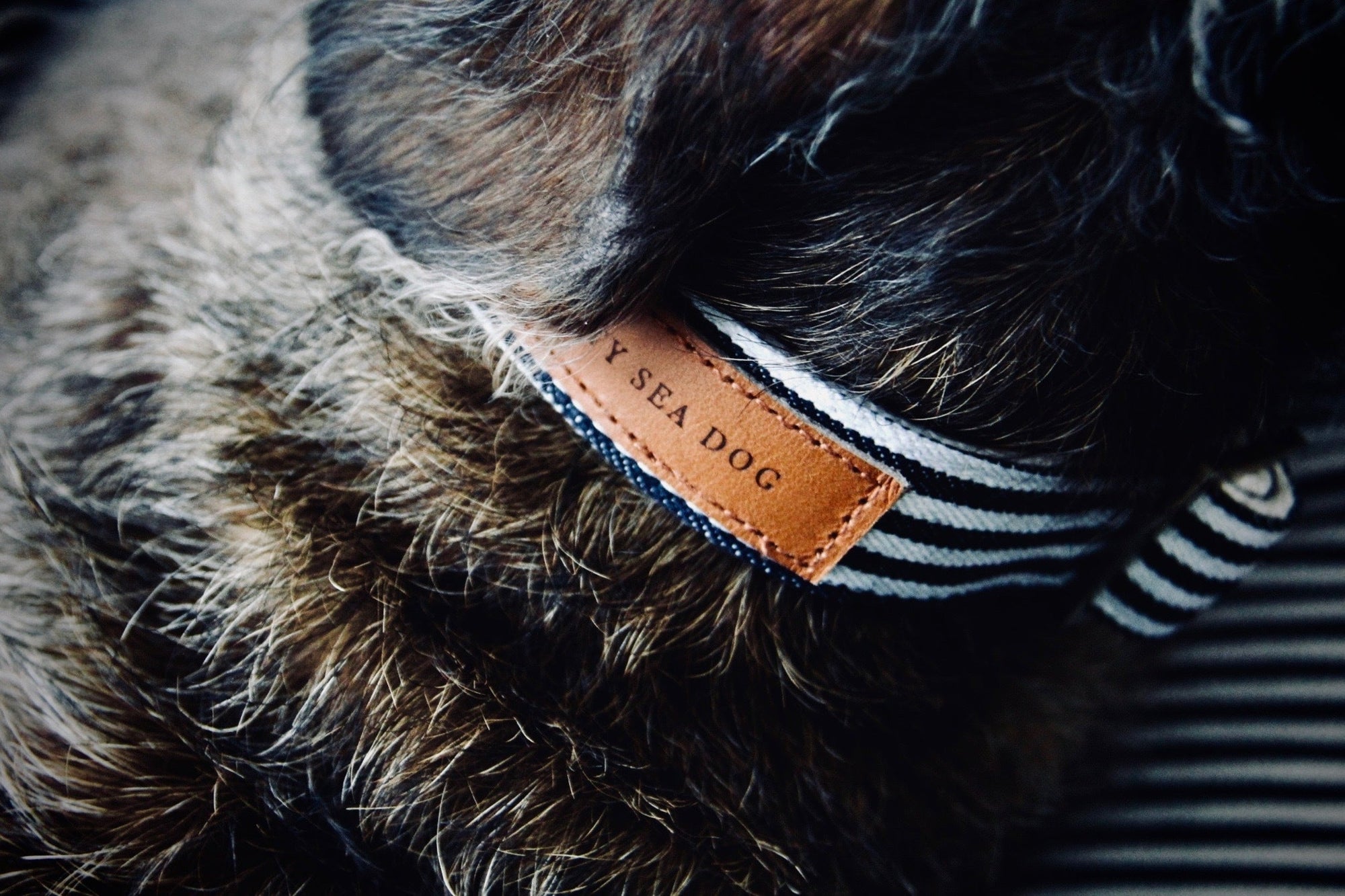 The Navy Collar